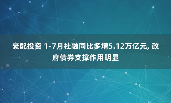 豪配投资 1-7月社融同比多增5.12万亿元, 政府债券支撑作用明显