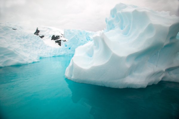 启天配资 万亿级押注, 国家队告诉你答案