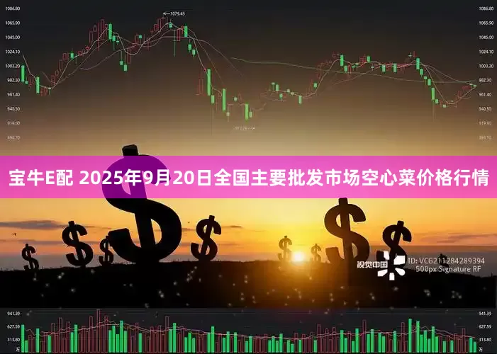 宝牛E配 2025年9月20日全国主要批发市场空心菜价格行情