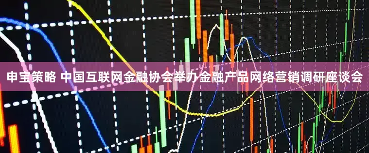 申宝策略 中国互联网金融协会举办金融产品网络营销调研座谈会